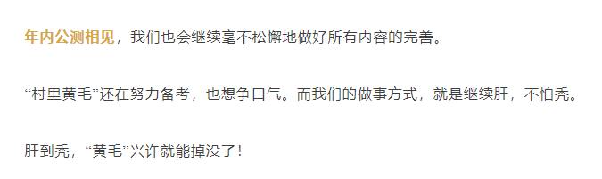 国产武侠动作游戏《燕云十六声》官方确认，已完成公测版本95%以上的内容开发和优化，预计年底公测