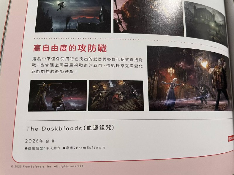 在港任的 Nintendo Magazine Nintendo Switch 2 特别号中，误将《The Duskbloods》的中文名写成了《血源诅咒》