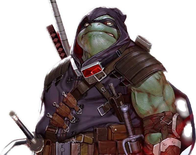 派拉蒙影业负责游戏与多媒体内容的高级副总裁 Doug Rosen 在接受媒体采访时透露，派拉蒙正在开发一款 3A 级别的《忍者神龟》游戏新作，故事基于短篇漫画《忍者神龟：最后的浪人》